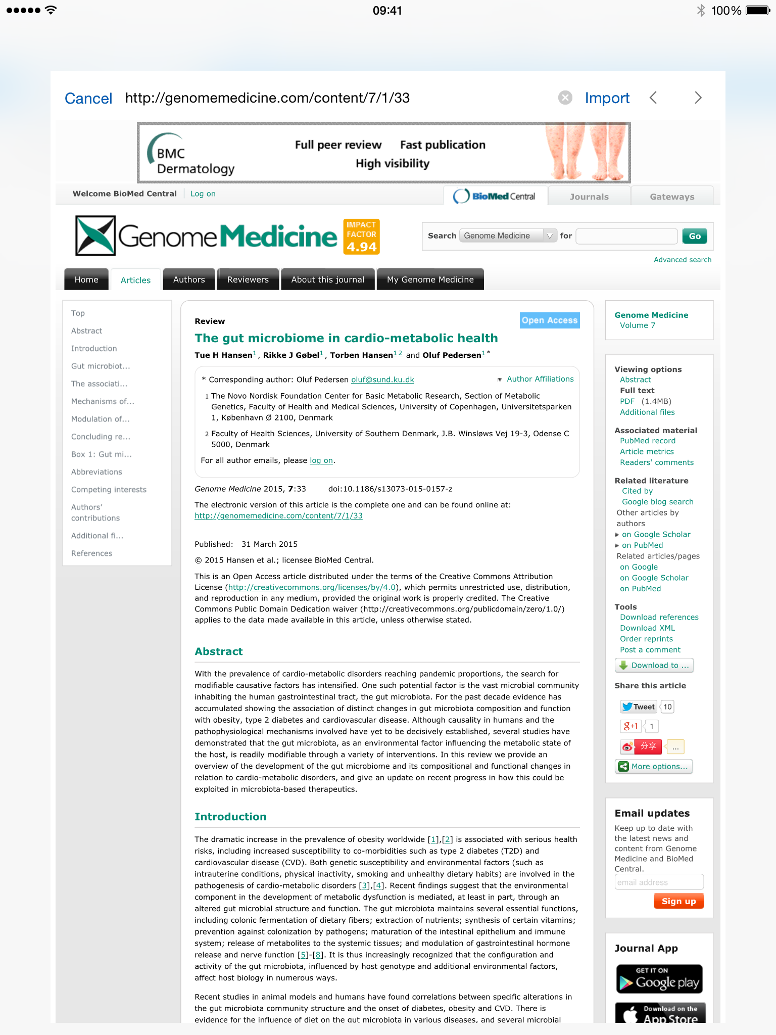 Hot dog business plan template